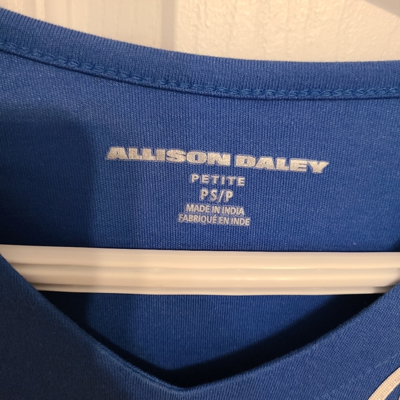 🌟4/$15 Allison Daley Blue and White Long Sleeve Top Size Small Petite - Picture 3 of 6